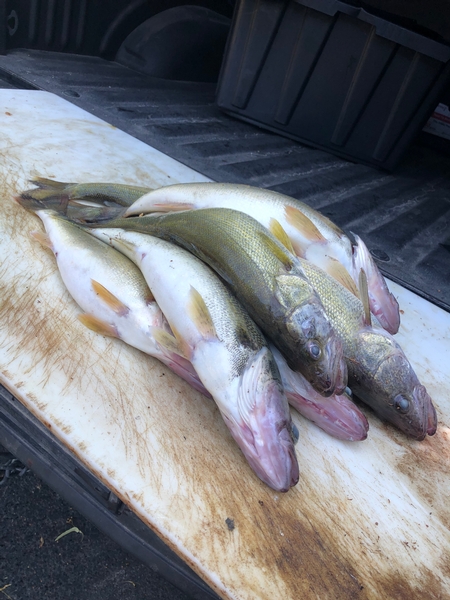 nice afternoon trip with a couple from ohio today 